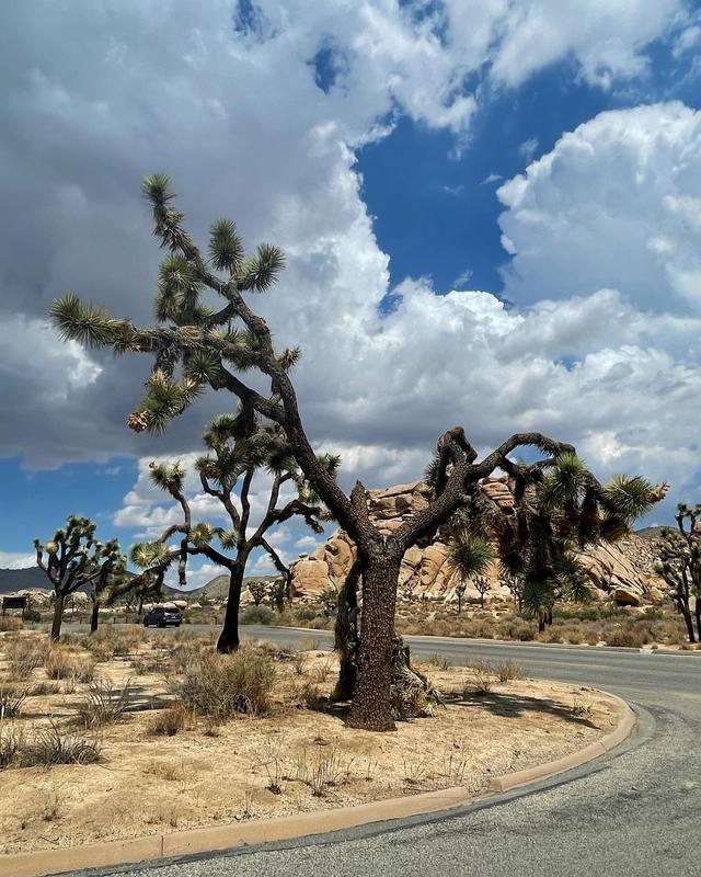 In Viaggio con Cillo - Evolution Travel - 2