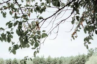 Francesco Silvaggio - 30