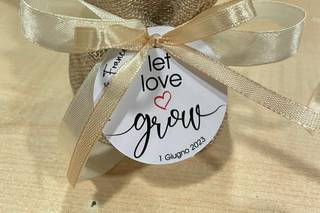 Gigi Piante Grasse - 17