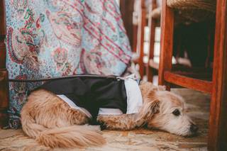 Andrea Aquilante - 6