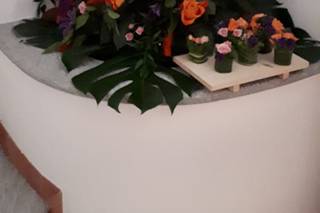 Floreria - 19