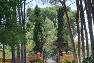 Puglia Rent Classica - 6