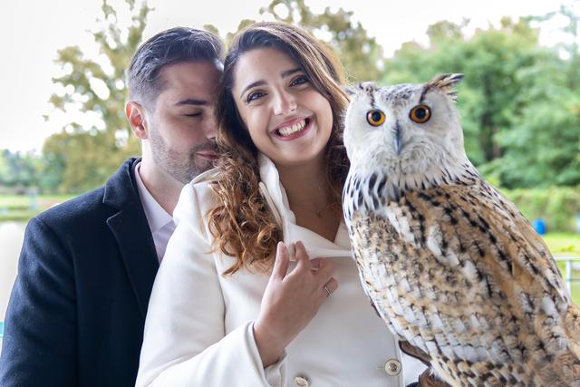 Il Regno dei Rapaci - 1