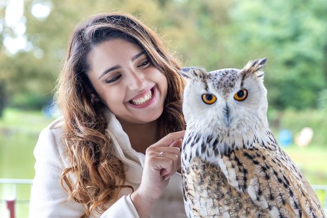 Il Regno dei Rapaci - 3