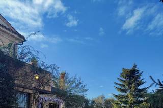 Attilio Perfetti - 9