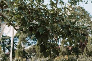 Di punto in bianco - Wedding, design & planning - 8