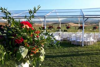 Dimora Buonriposo - 10