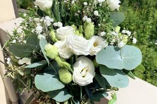 Centro Agricolo Gardesano - 6