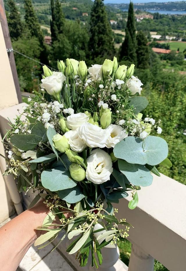 Centro Agricolo Gardesano - 2