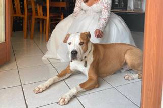 Oh my dog wedding - 7