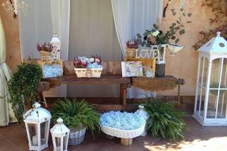 Pittafiori Botanica e Pittura - 23