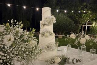 Eva Fiori e Piante - 6