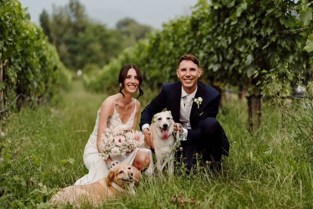 JL Dog Sitter for wedding - 1