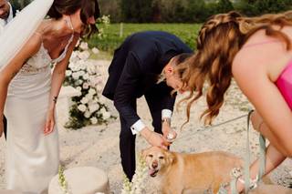 JL Dog Sitter for wedding - 9