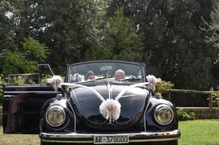 Italian Limo - 10