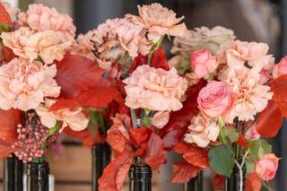 Ciavattini Garden - 6