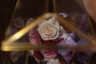 Ciavattini Garden - 7