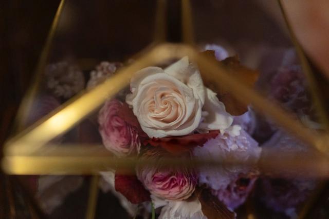 Ciavattini Garden - 1