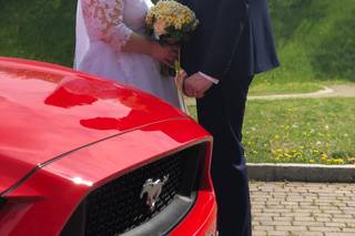 Stefano Del Quarto - Noleggio Mustang - 19