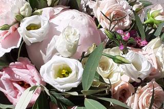 Il Fiore di Maynard Maria Veronica - 14