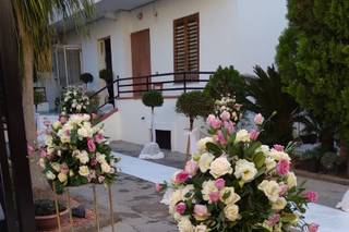 La Primavera Ruggiero - 17