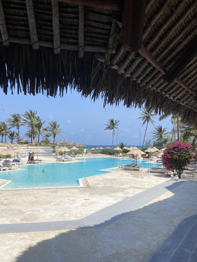 Ippogrifo Viaggi - 2