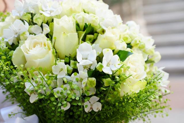 Ardau Ottica e Fotografia - 4