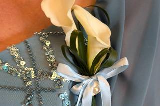 Daveli Dreams & Events - 11