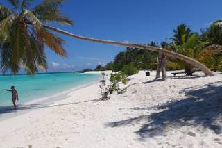 De Luxe Travels - 6