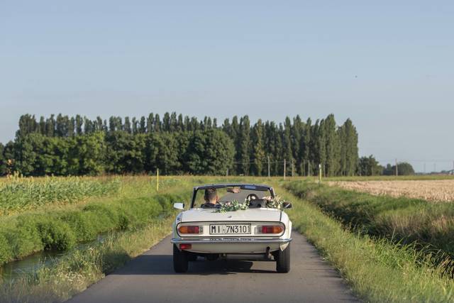 Classic Rental Cars 5