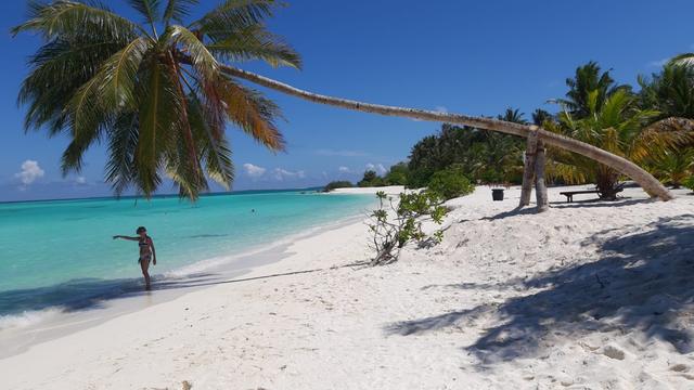 De Luxe Travels - 1