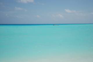 De Luxe Travels - 7