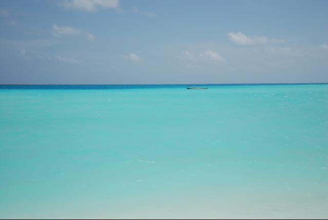 De Luxe Travels - 3