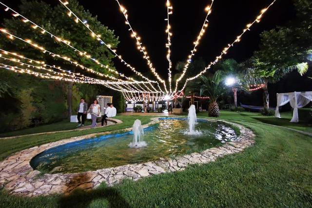 Leandroscorpolighting 3