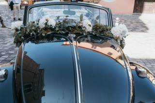 Profumo di Fiori - 19