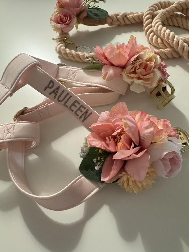 BowPawTie Accessori per Cani - 4