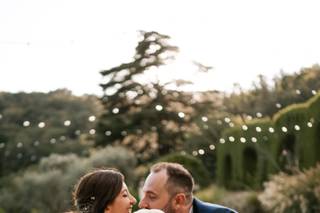 Ila Wedding Dog Sitter - 8