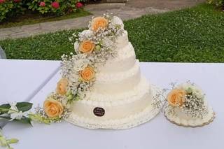 Tenuta la Marchesa - 10