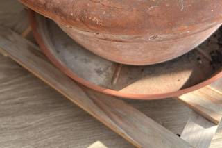 Emergency ONG ETS - 5