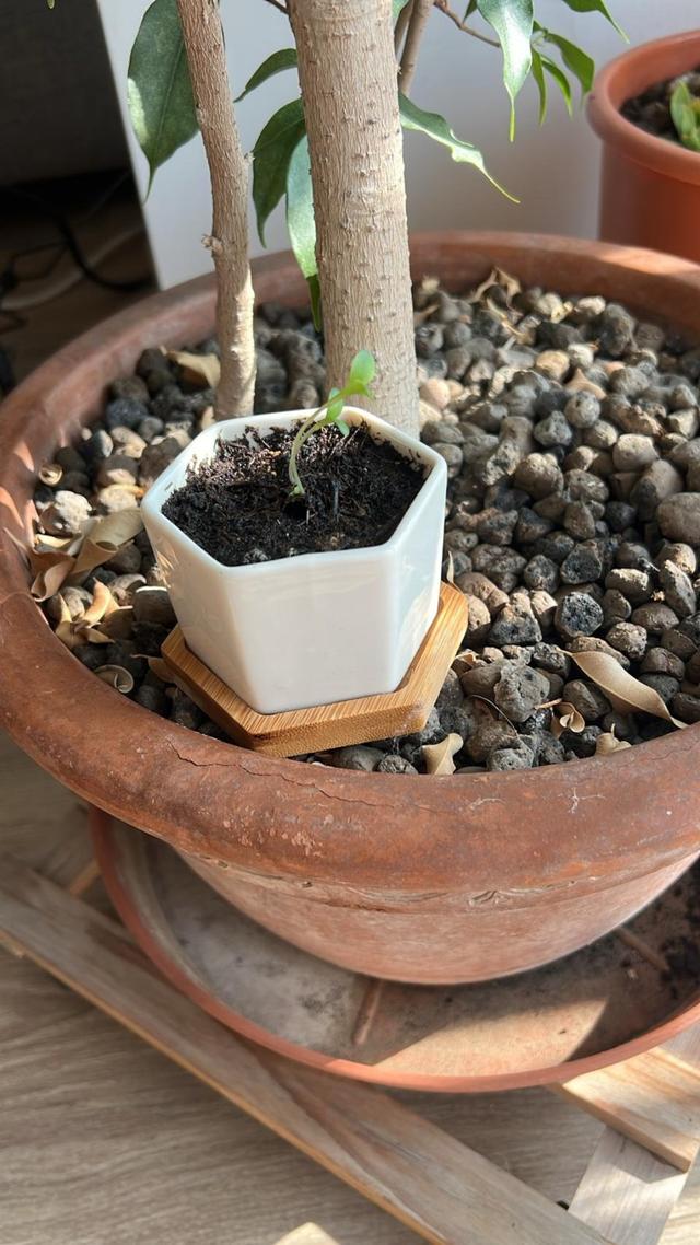 Emergency ONG ETS - 2