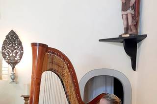 Antonella Natangelo Harp - 5