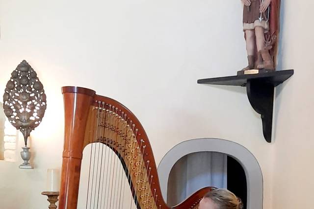 Antonella Natangelo Harp 1