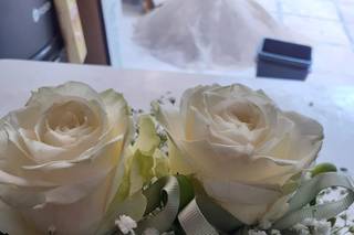 Floritalia - 22