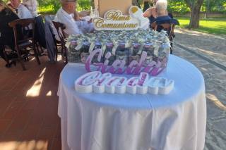 Gigi Piante Grasse - 13