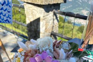 Piante e Fiori Valsecchi - 20