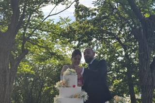 Il giardino delle palme - 6