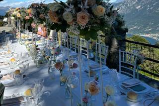 Piante e Fiori Valsecchi - 21