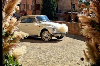 Trilly creazioni ed eventi - 12