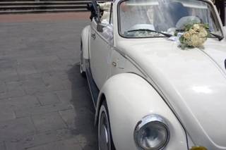 Autonoleggio Vergara Autosposa - 11