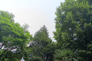 Castello della Torre - 19